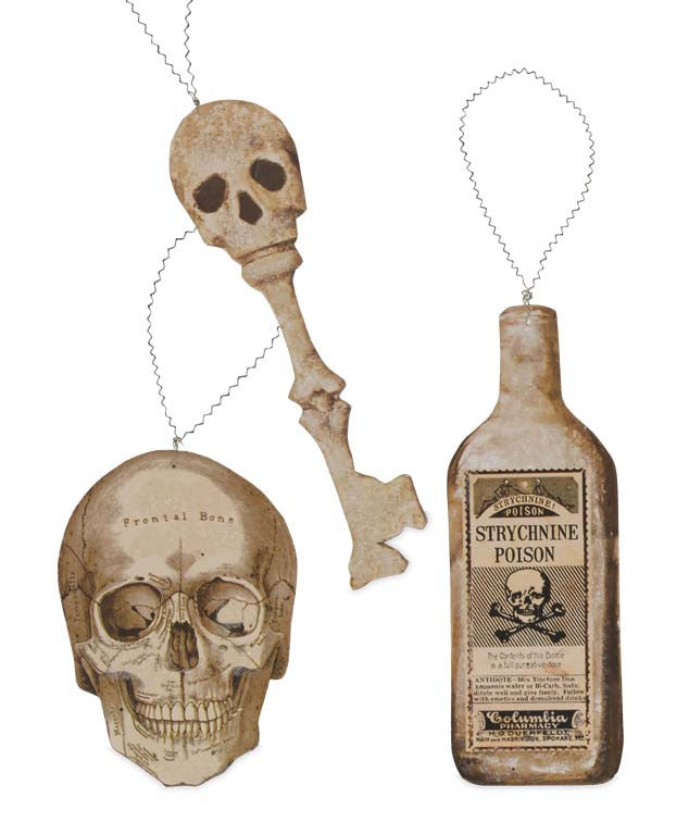 Bottles And Bones Paper Ornaments