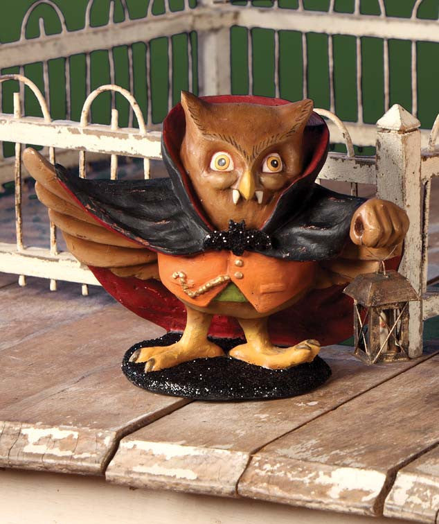 Drachootula Owl