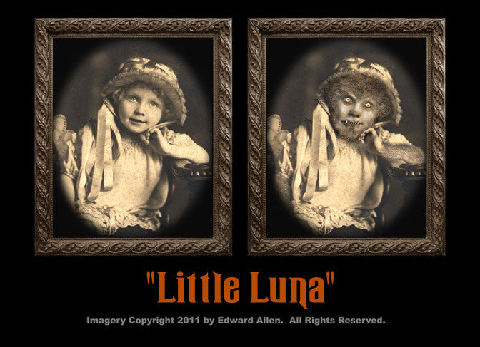 Little Luna Changing Portrait
