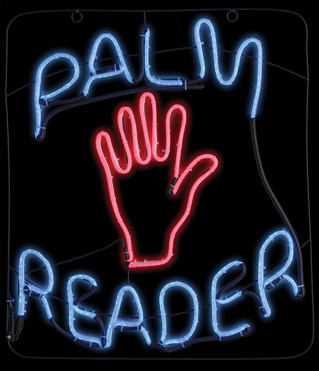 Palm Reader Neon Sign