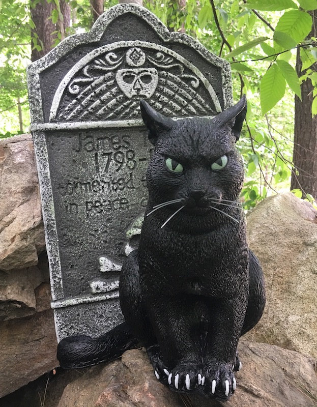 Witches' Black Cat Prop